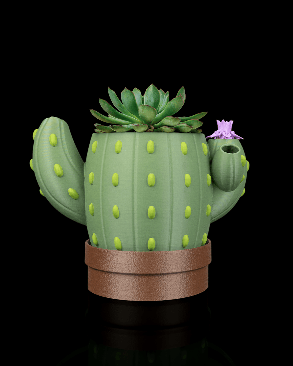 🌵 Vaso Cactus Autoirrigante con Fiore Magico – Il Fiore Sale Quando Aggiungi l’Acqua