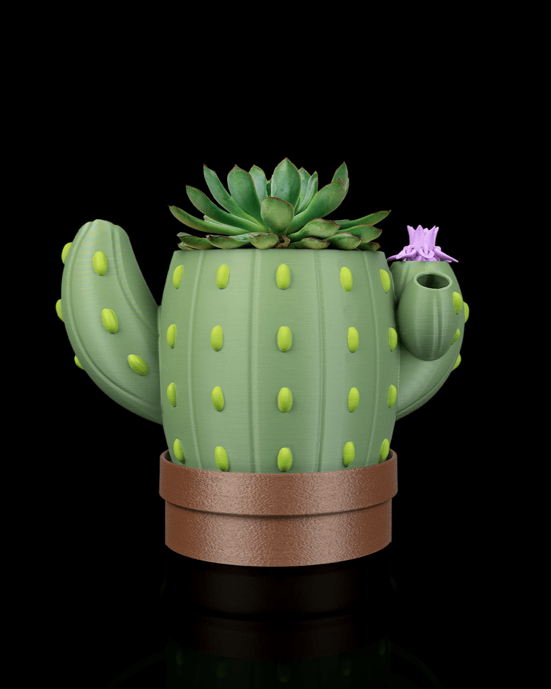 🌵 Vaso Cactus Autoirrigante con Fiore Magico – Il Fiore Sale Quando Aggiungi l’Acqua