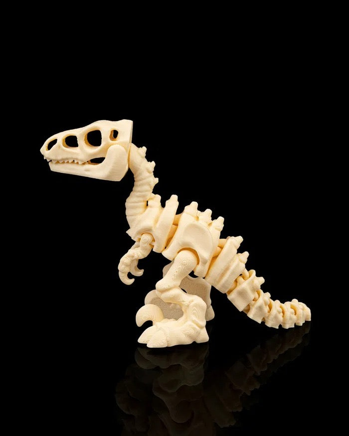 Skeleton Velociraptor Modellino Stampato in 3D (Articolato e da Collezione)