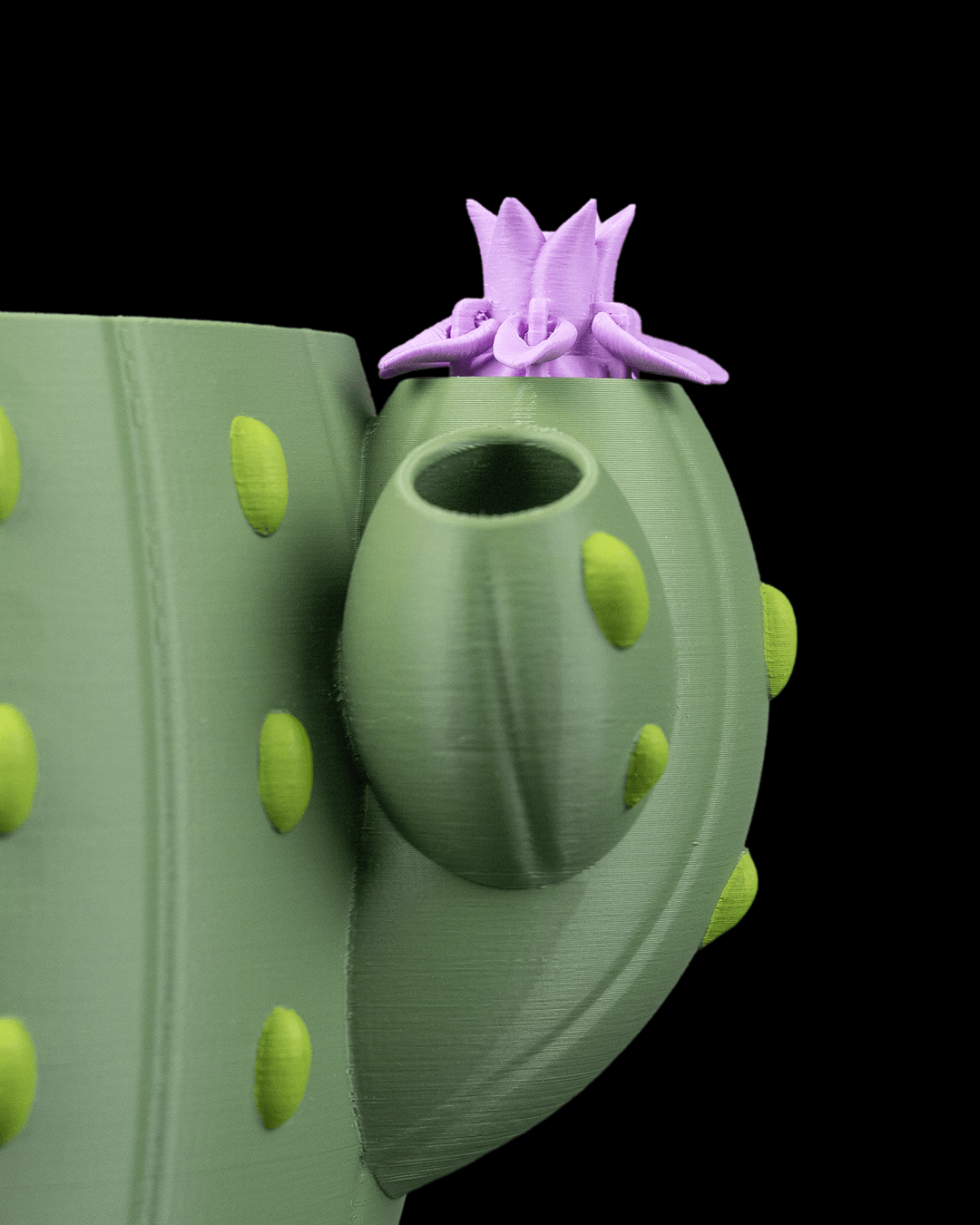 🌵 Vaso Cactus Autoirrigante con Fiore Magico – Il Fiore Sale Quando Aggiungi l’Acqua