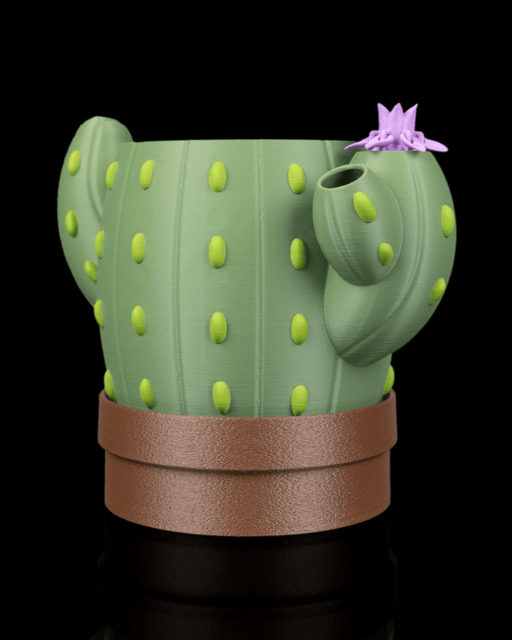 🌵 Vaso Cactus Autoirrigante con Fiore Magico – Il Fiore Sale Quando Aggiungi l’Acqua
