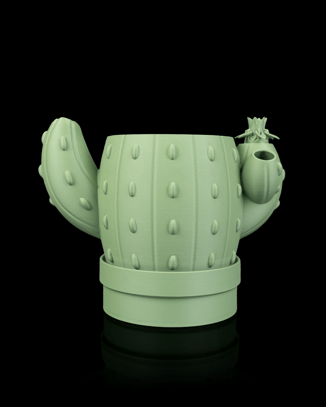 🌵 Vaso Cactus Autoirrigante con Fiore Magico – Il Fiore Sale Quando Aggiungi l’Acqua