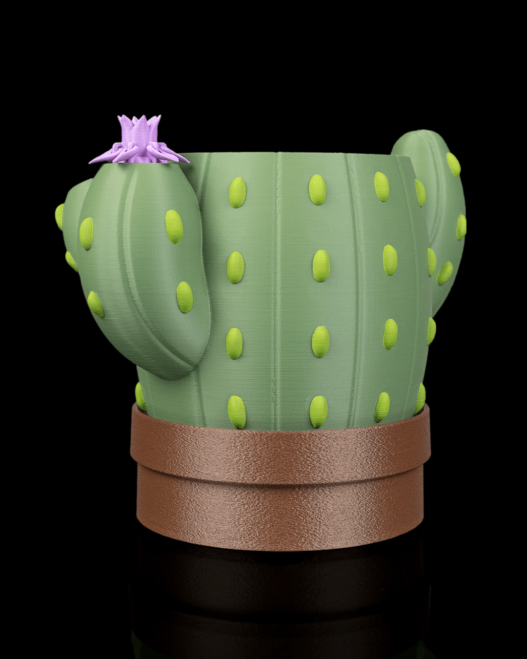 🌵 Vaso Cactus Autoirrigante con Fiore Magico – Il Fiore Sale Quando Aggiungi l’Acqua