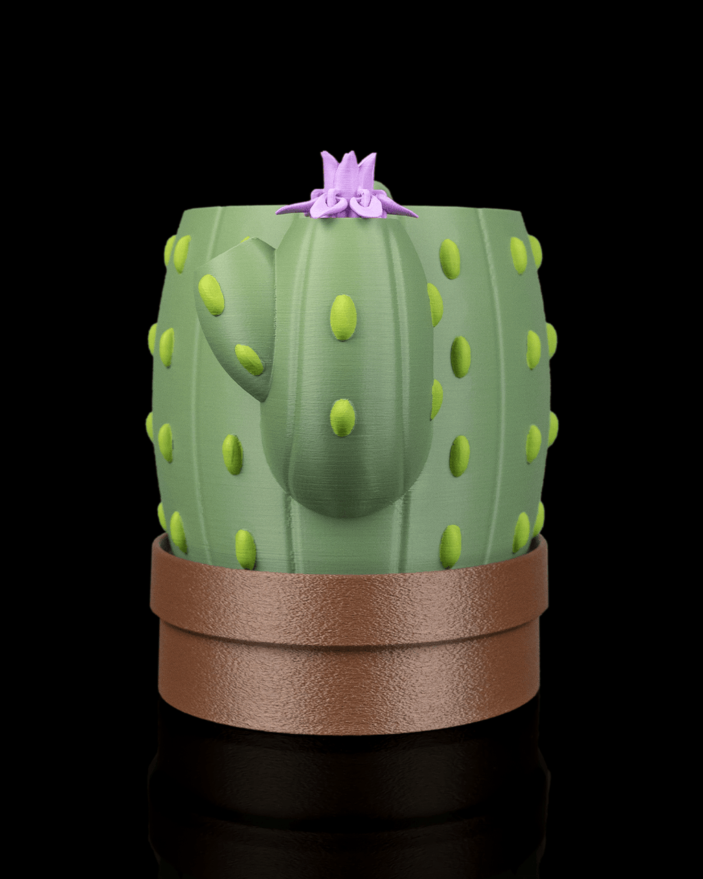🌵 Vaso Cactus Autoirrigante con Fiore Magico – Il Fiore Sale Quando Aggiungi l’Acqua
