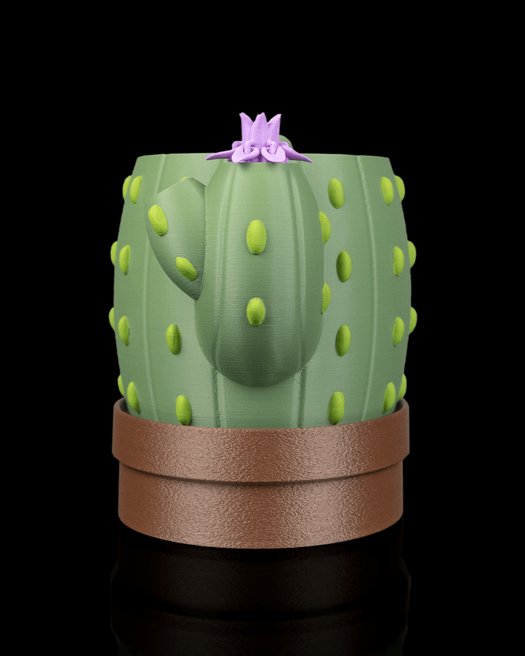 🌵 Vaso Cactus Autoirrigante con Fiore Magico – Il Fiore Sale Quando Aggiungi l’Acqua