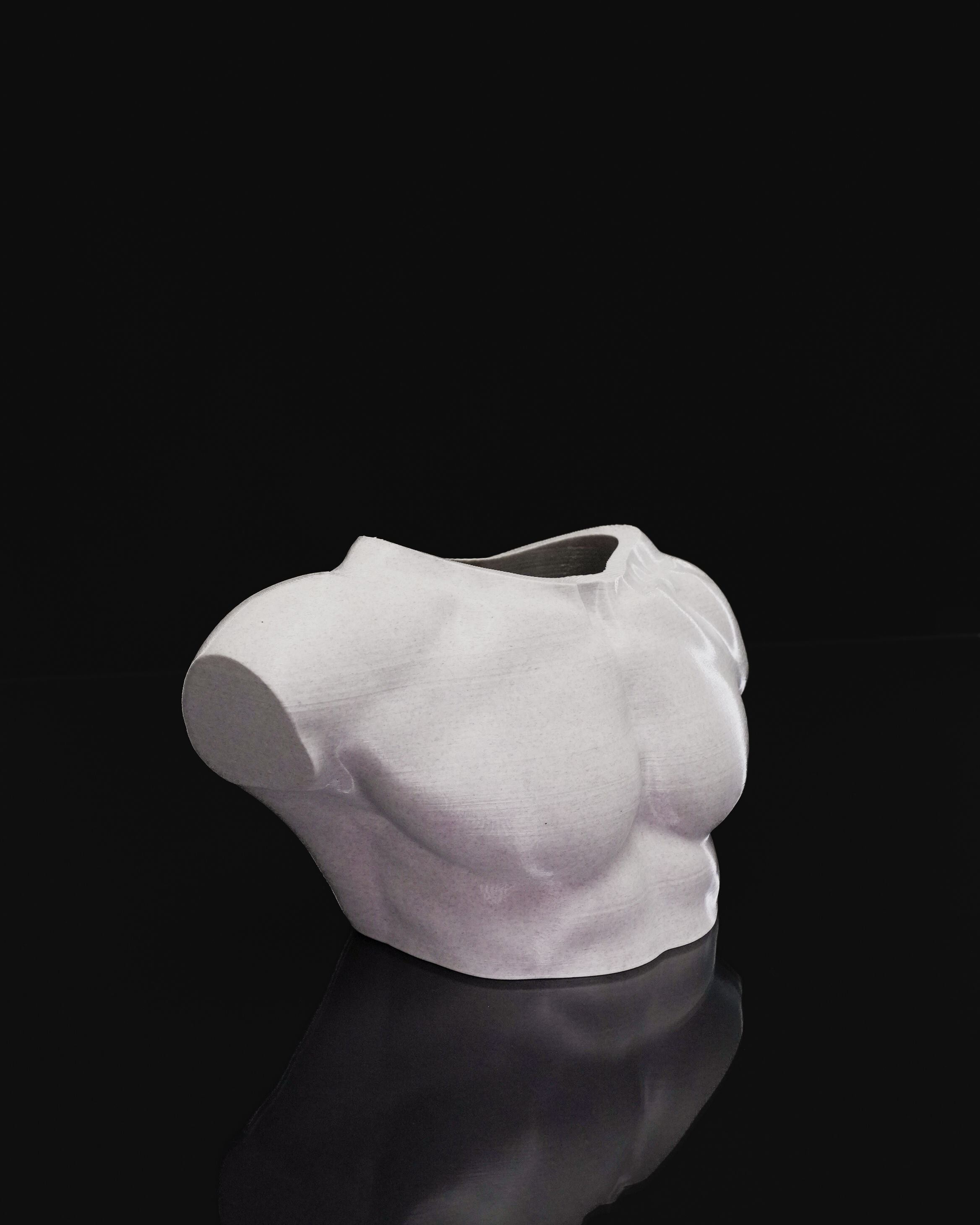 Vaso Artistico “Apollo” – Busto Maschile Moderno in PLA Stampato in 3D | Design Scultoreo