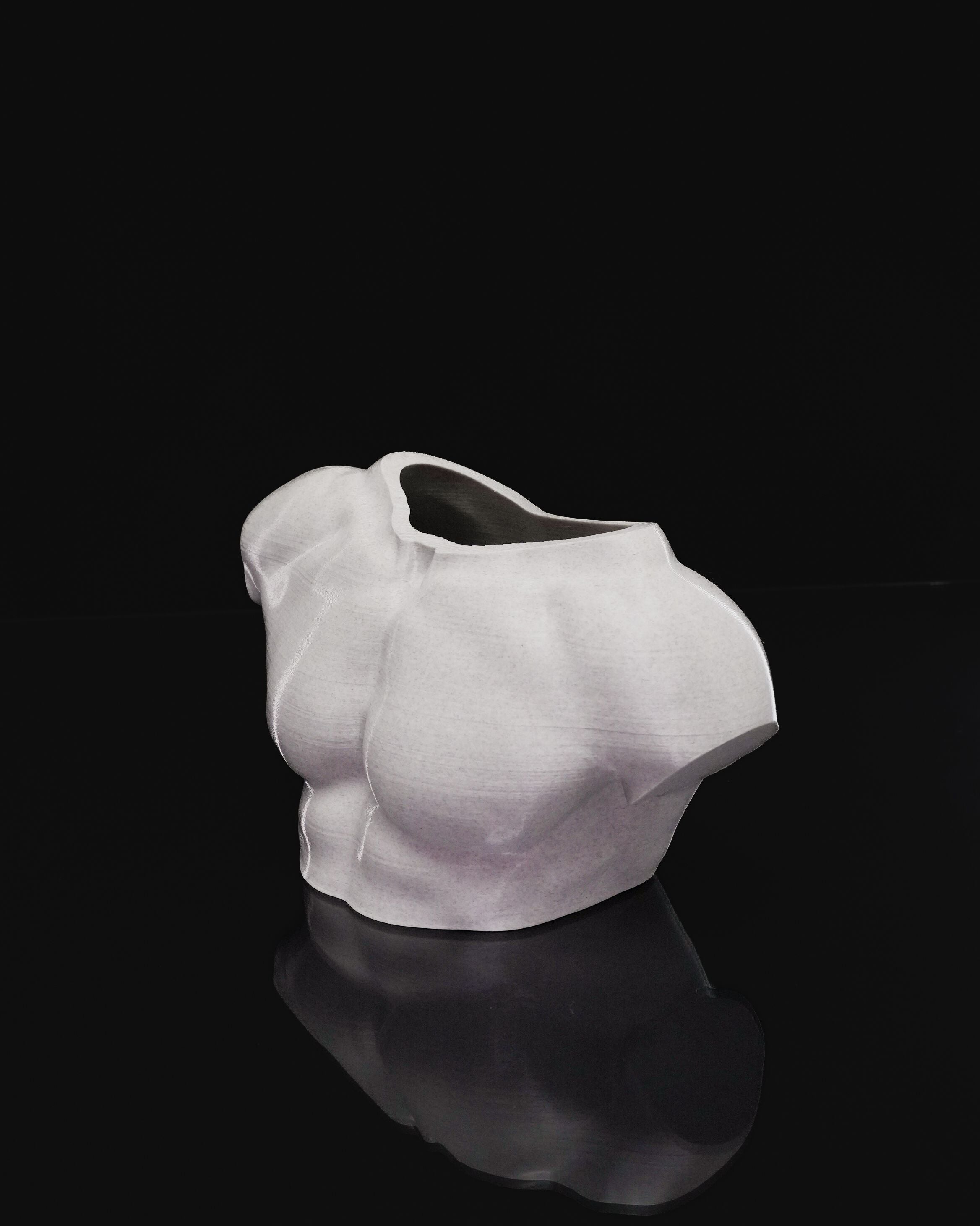 Vaso Artistico “Apollo” – Busto Maschile Moderno in PLA Stampato in 3D | Design Scultoreo
