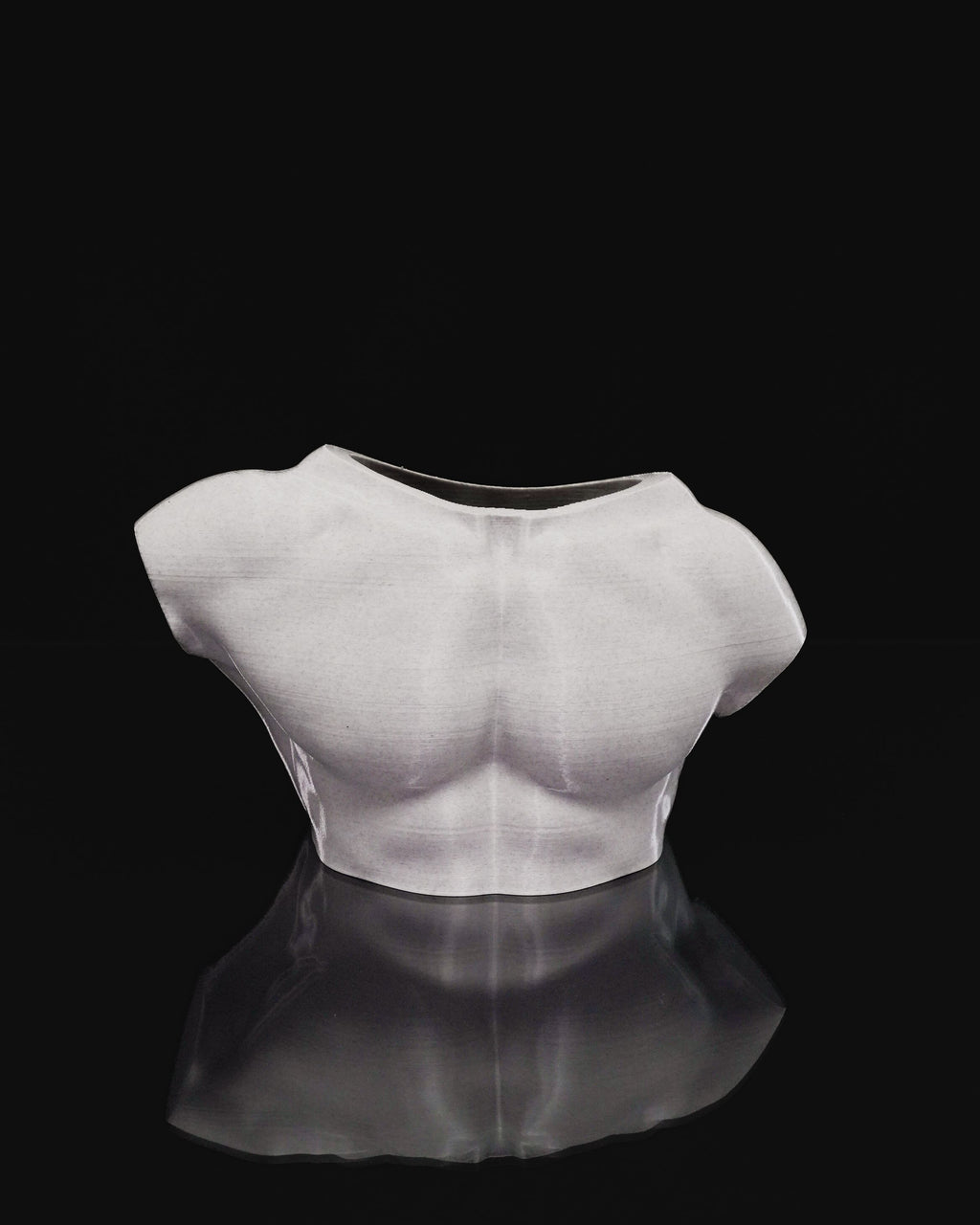 Vaso Artistico “Apollo” – Busto Maschile Moderno in PLA Stampato in 3D | Design Scultoreo