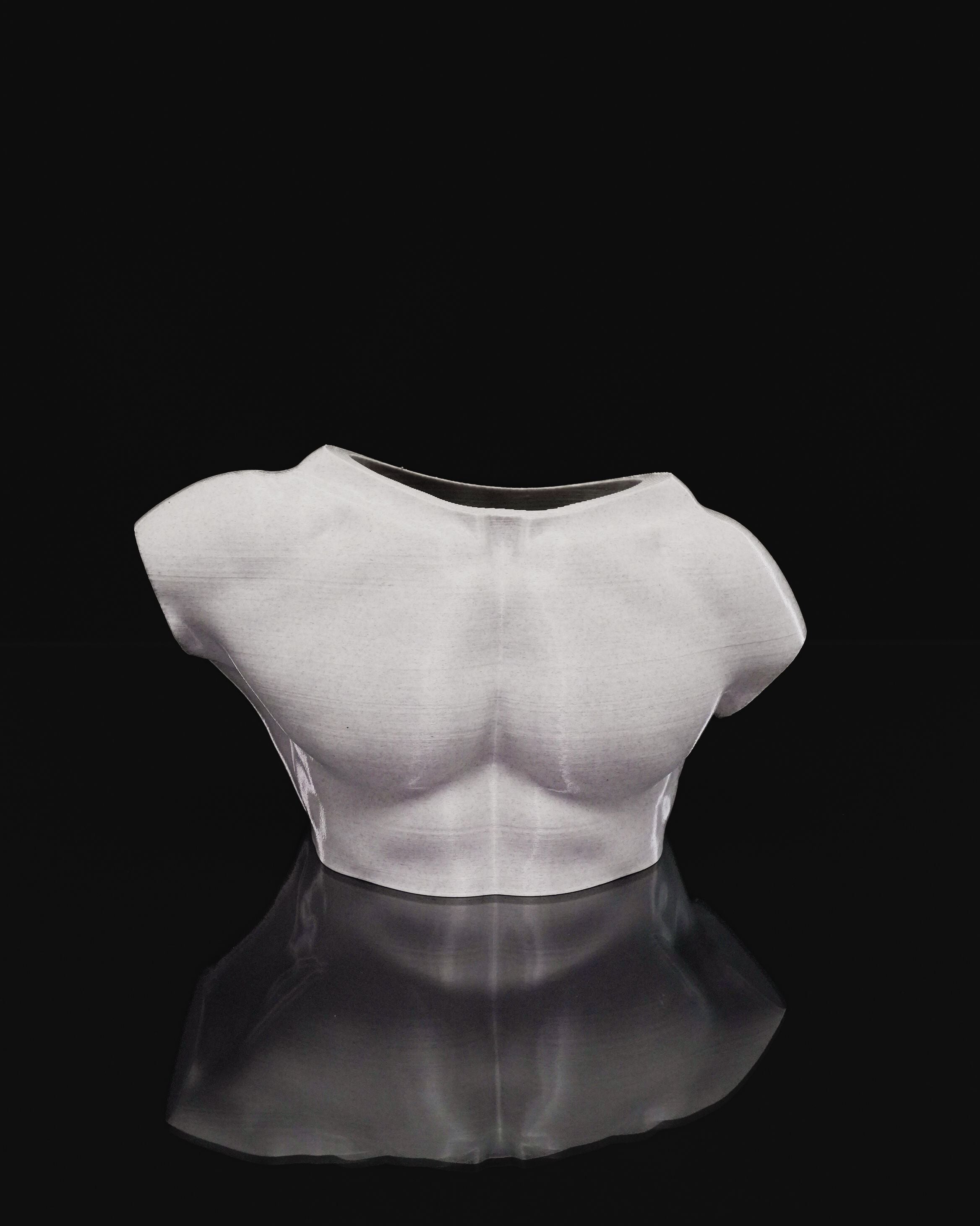 Vaso Artistico “Apollo” – Busto Maschile Moderno in PLA Stampato in 3D | Design Scultoreo