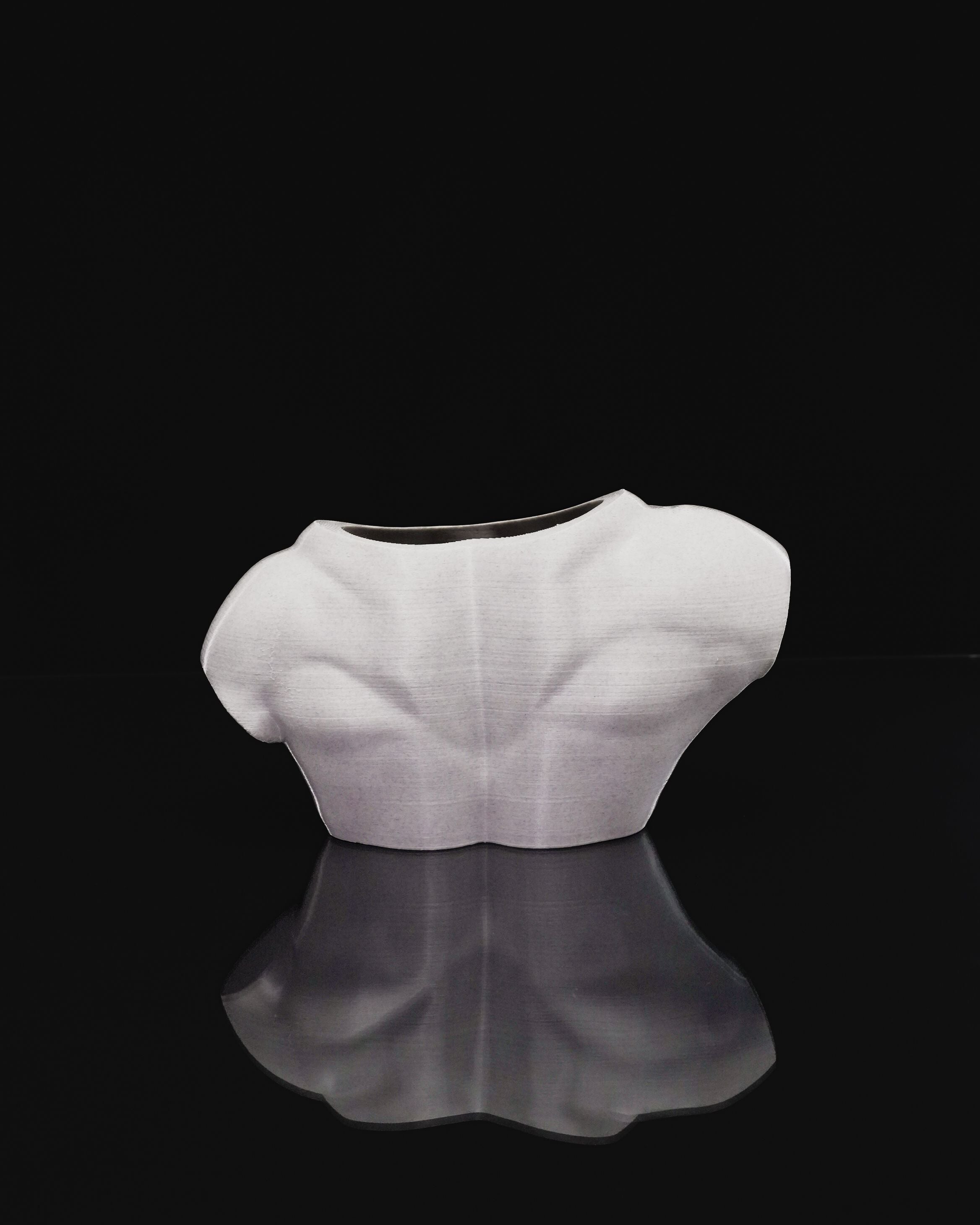 Vaso Artistico “Apollo” – Busto Maschile Moderno in PLA Stampato in 3D | Design Scultoreo