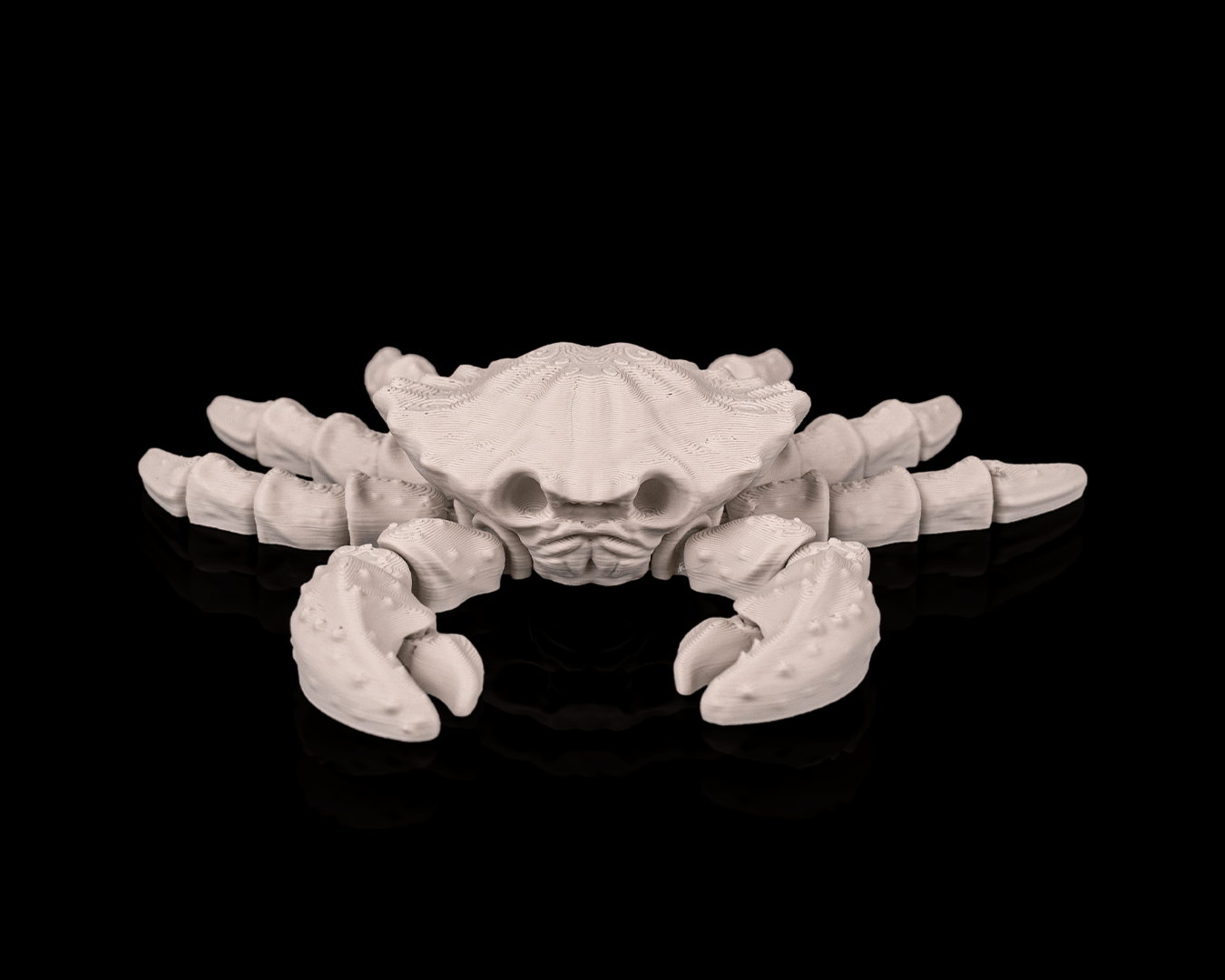 Granchio Scheletro Articolato – Modello Marino Flessibile Stampato in 3D