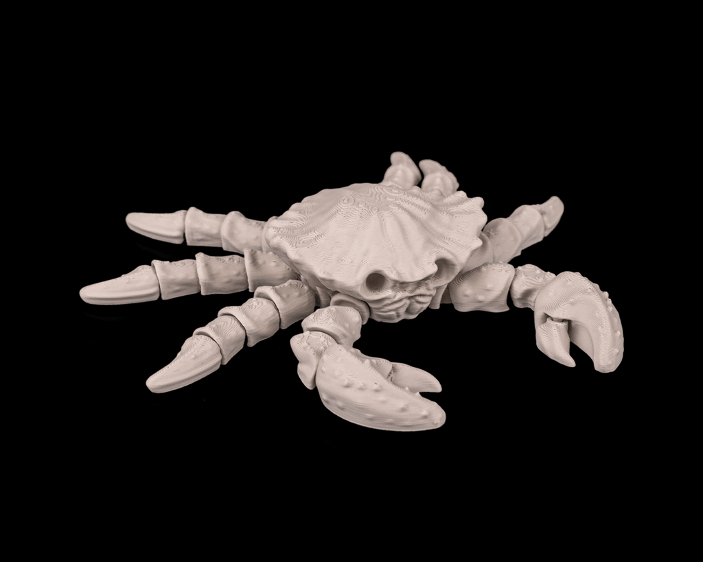 Granchio Scheletro Articolato – Modello Marino Flessibile Stampato in 3D