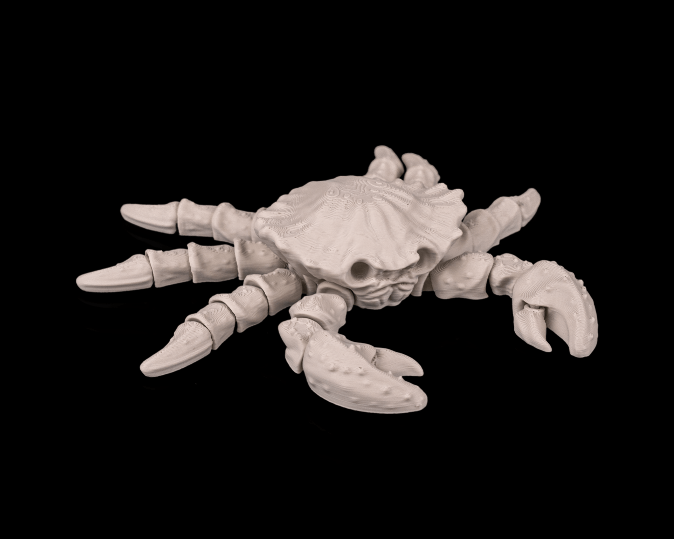 Granchio Scheletro Articolato – Modello Marino Flessibile Stampato in 3D