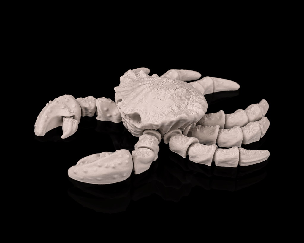 Granchio Scheletro Articolato – Modello Marino Flessibile Stampato in 3D