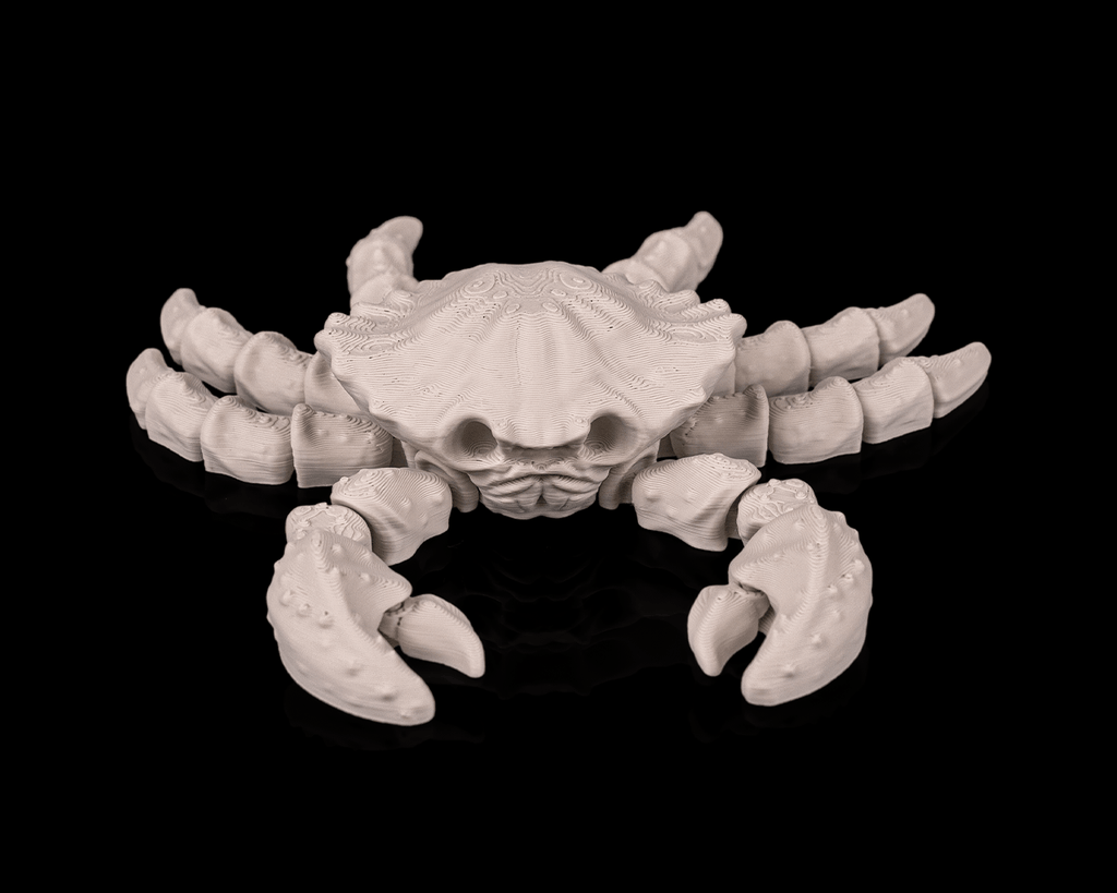 Granchio Scheletro Articolato – Modello Marino Flessibile Stampato in 3D
