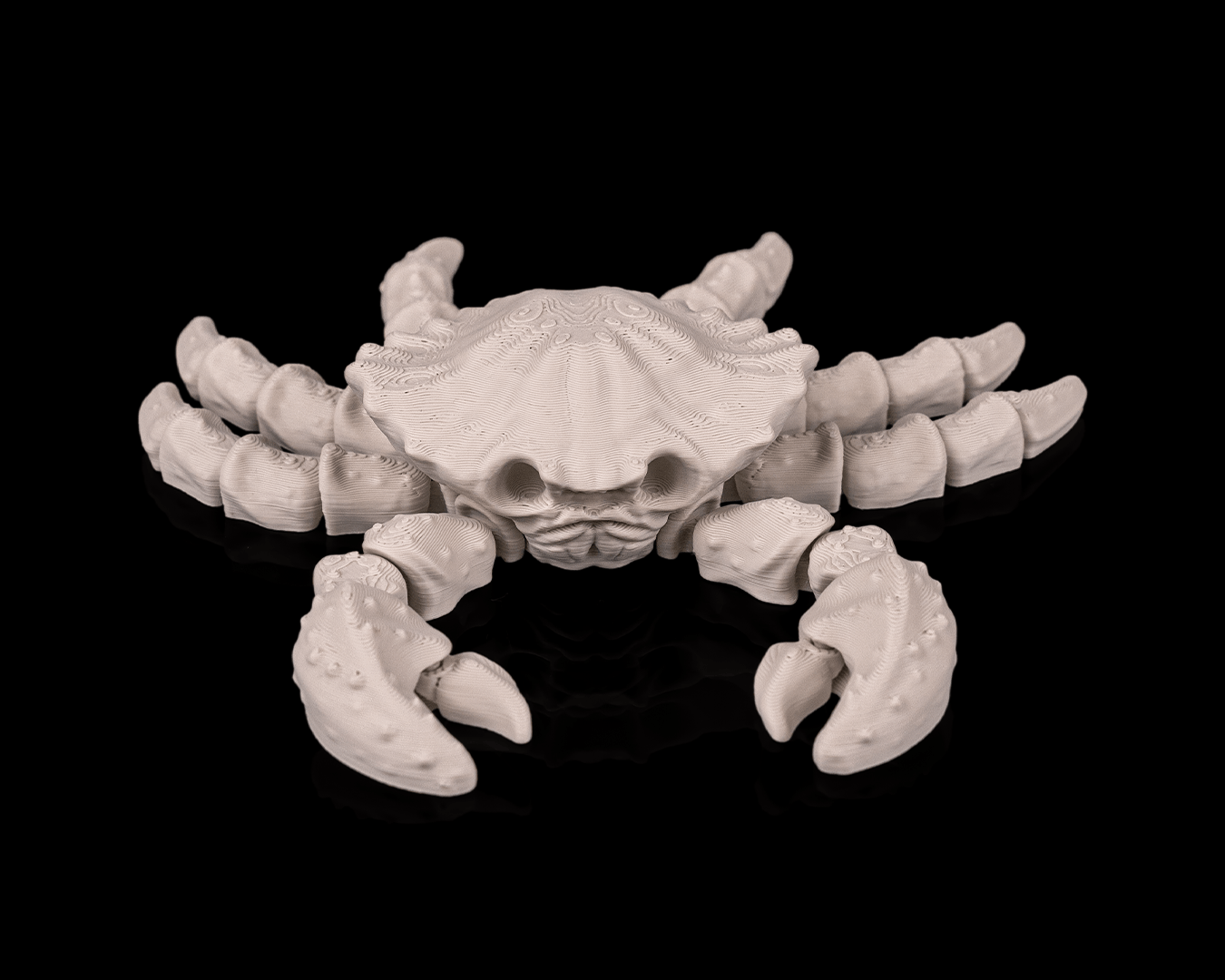 Granchio Scheletro Articolato – Modello Marino Flessibile Stampato in 3D
