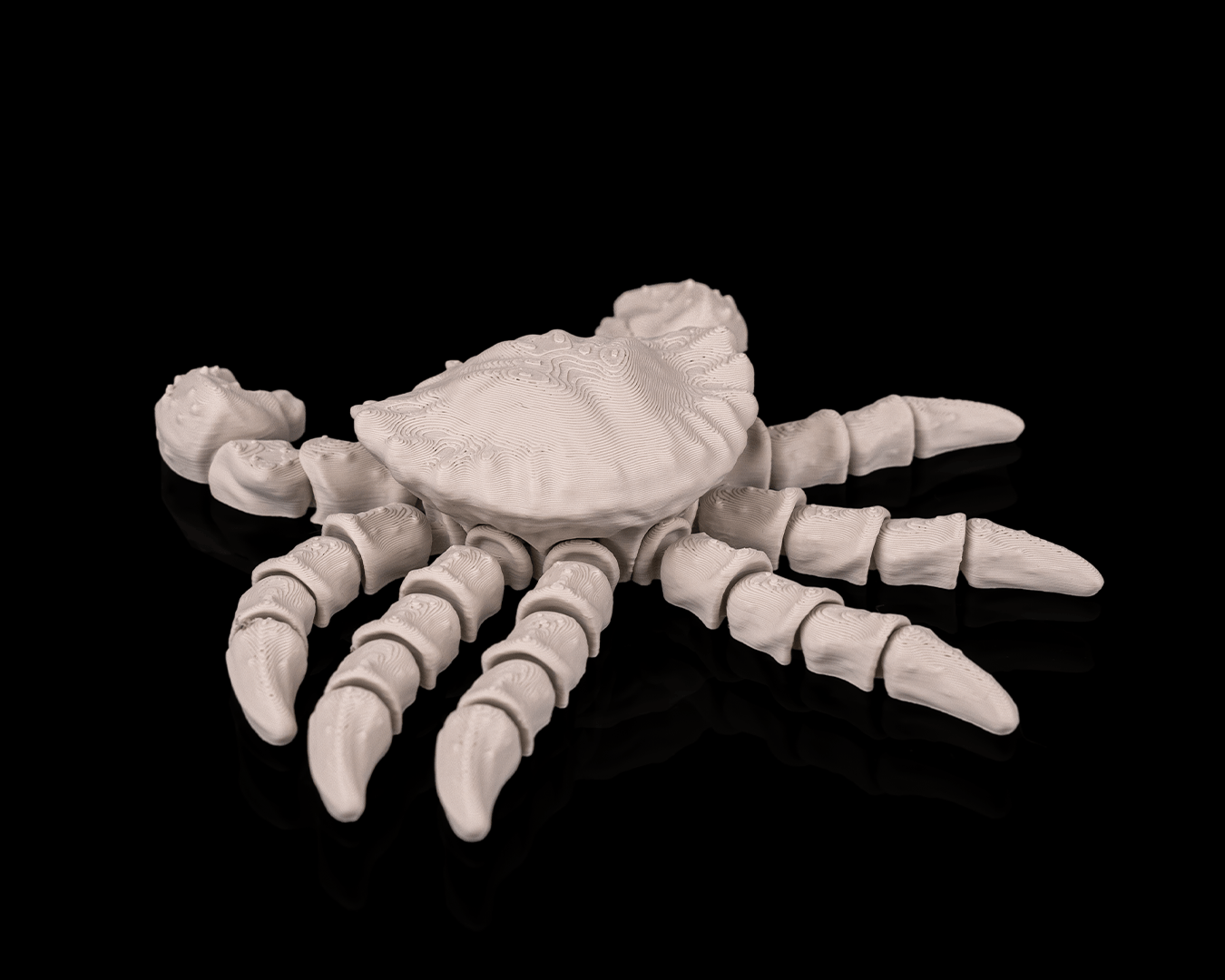 Granchio Scheletro Articolato – Modello Marino Flessibile Stampato in 3D