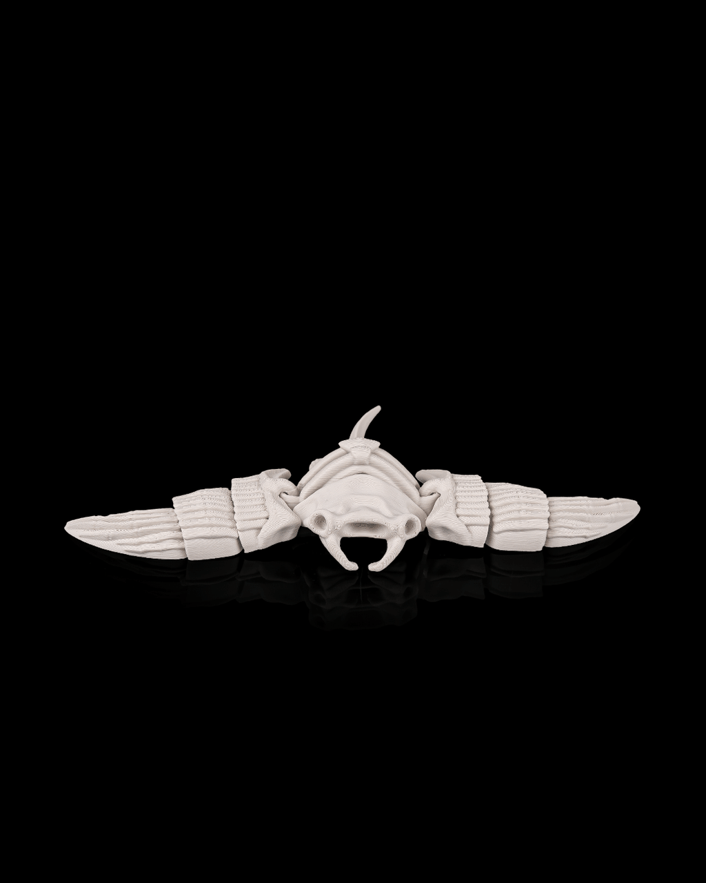 Manta Scheletro Articolata – Razza Marina Flessibile Stampata in 3D