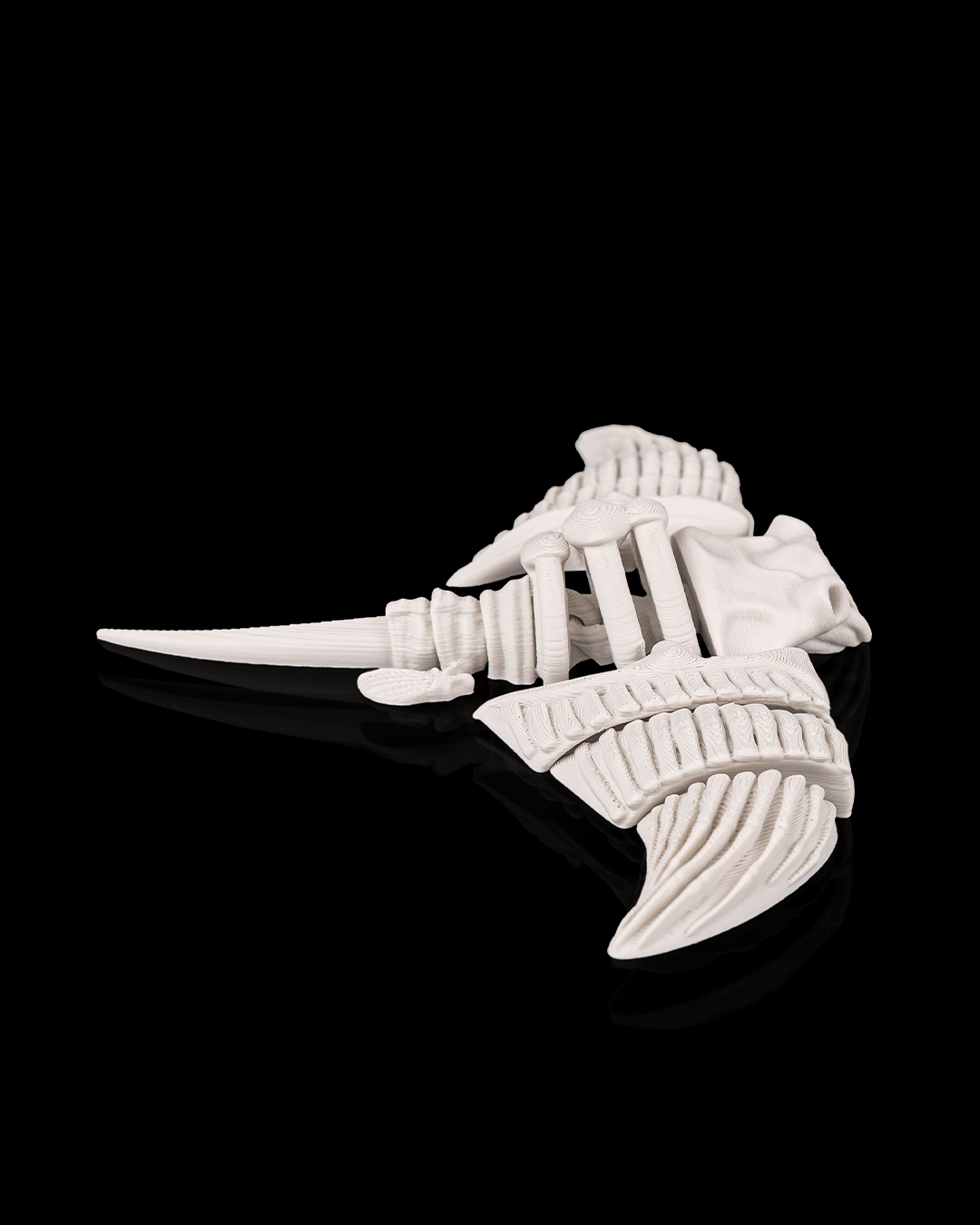 Manta Scheletro Articolata – Razza Marina Flessibile Stampata in 3D