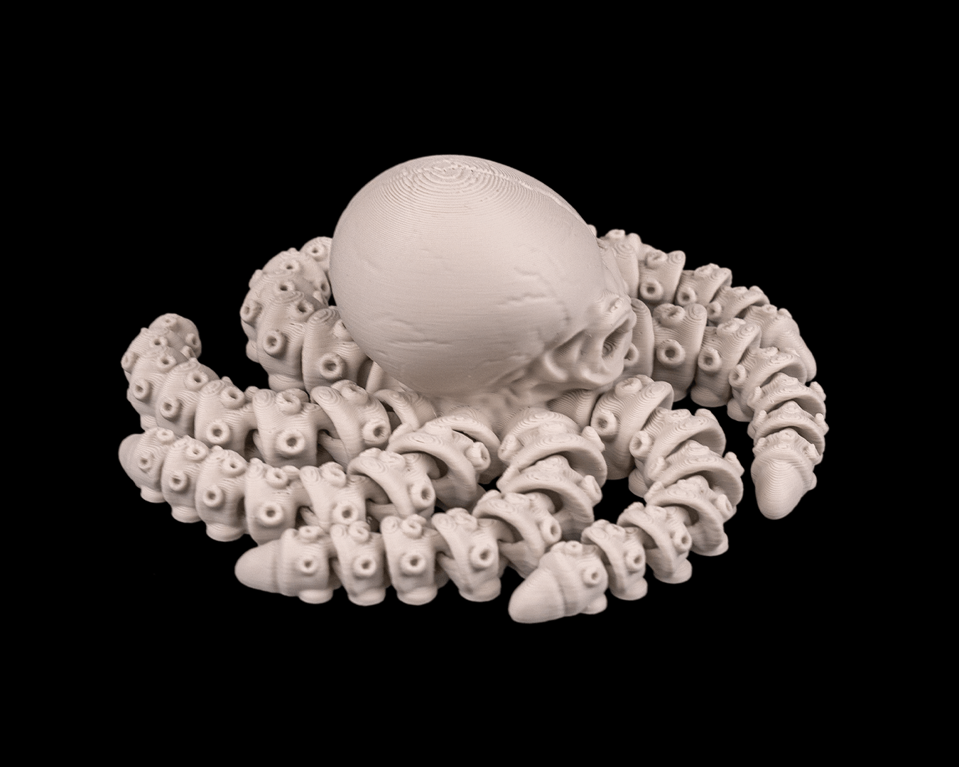 Polpo Scheletro Articolato – Creatura Marina Flessibile Stampata in 3D