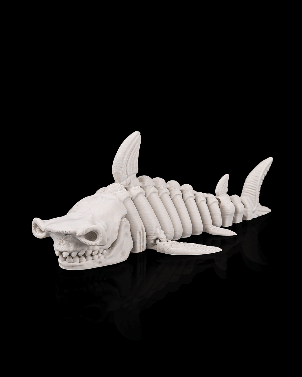 Squalo Scheletro Articolato – Predatore Marino Flessibile Stampato in 3D