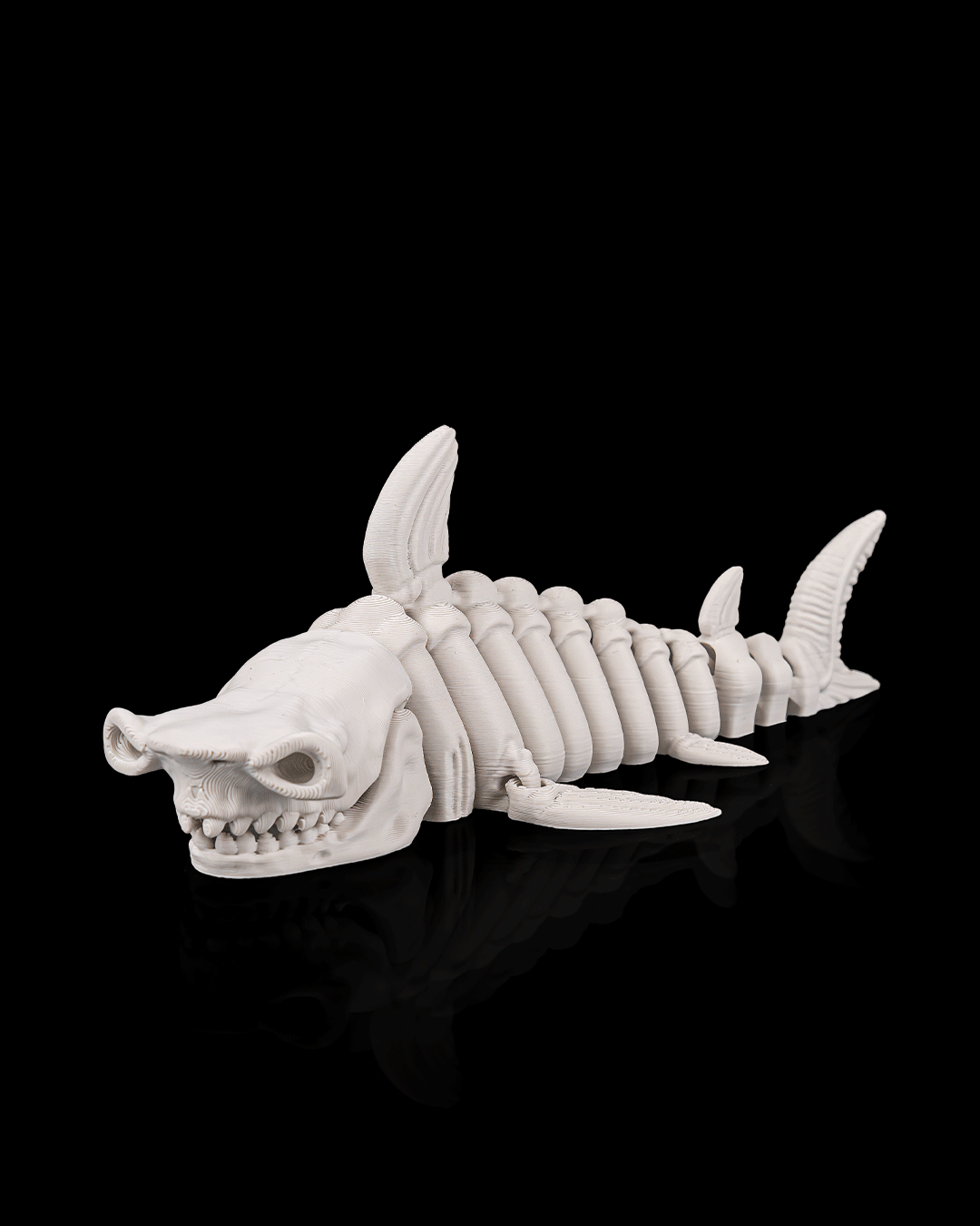 Squalo Scheletro Articolato – Predatore Marino Flessibile Stampato in 3D