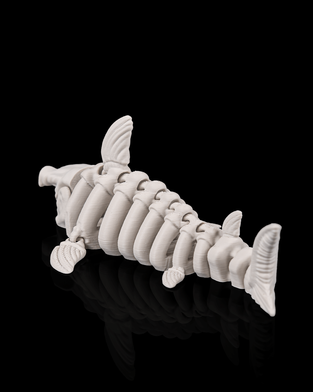 Squalo Scheletro Articolato – Predatore Marino Flessibile Stampato in 3D