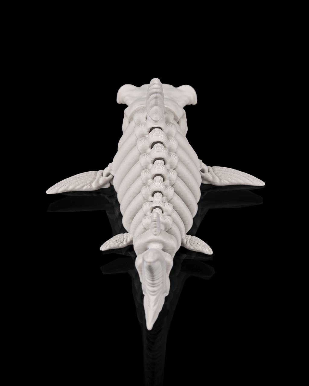 Squalo Scheletro Articolato – Predatore Marino Flessibile Stampato in 3D