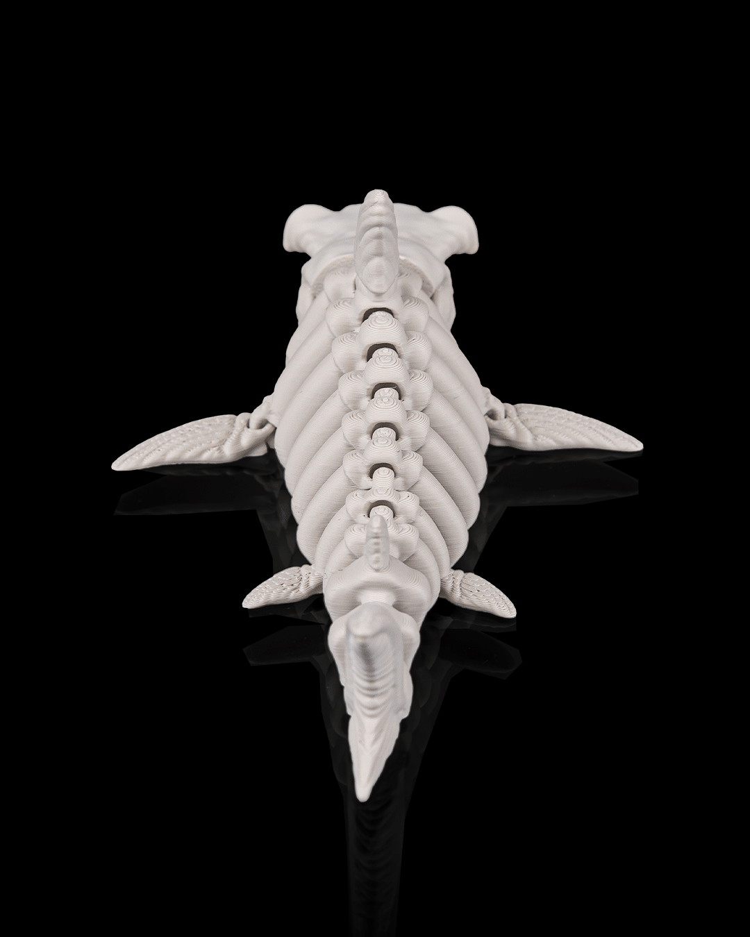 Squalo Scheletro Articolato – Predatore Marino Flessibile Stampato in 3D