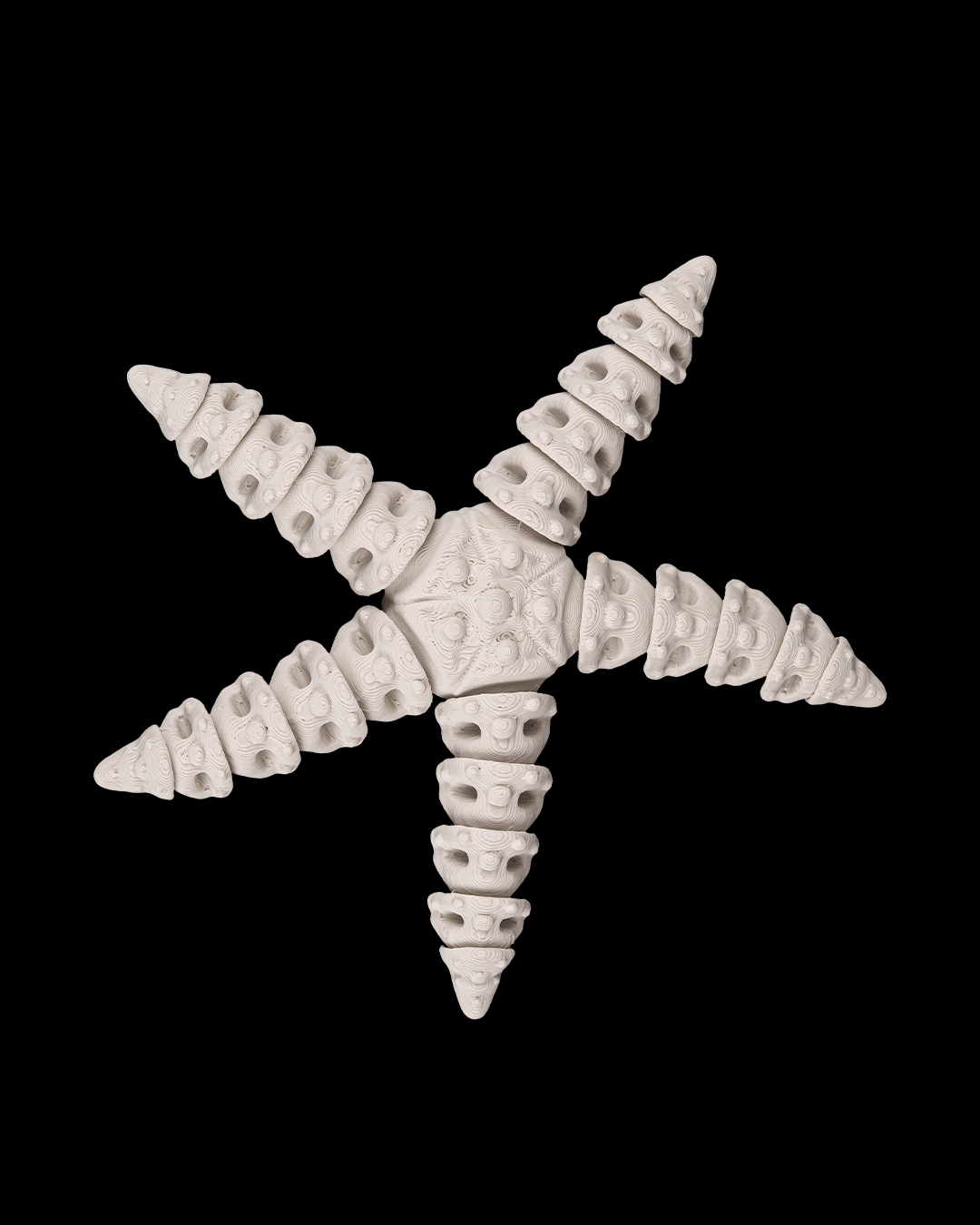 Stella Marina Scheletro Articolata – Decorazione Marina Stampata in 3D
