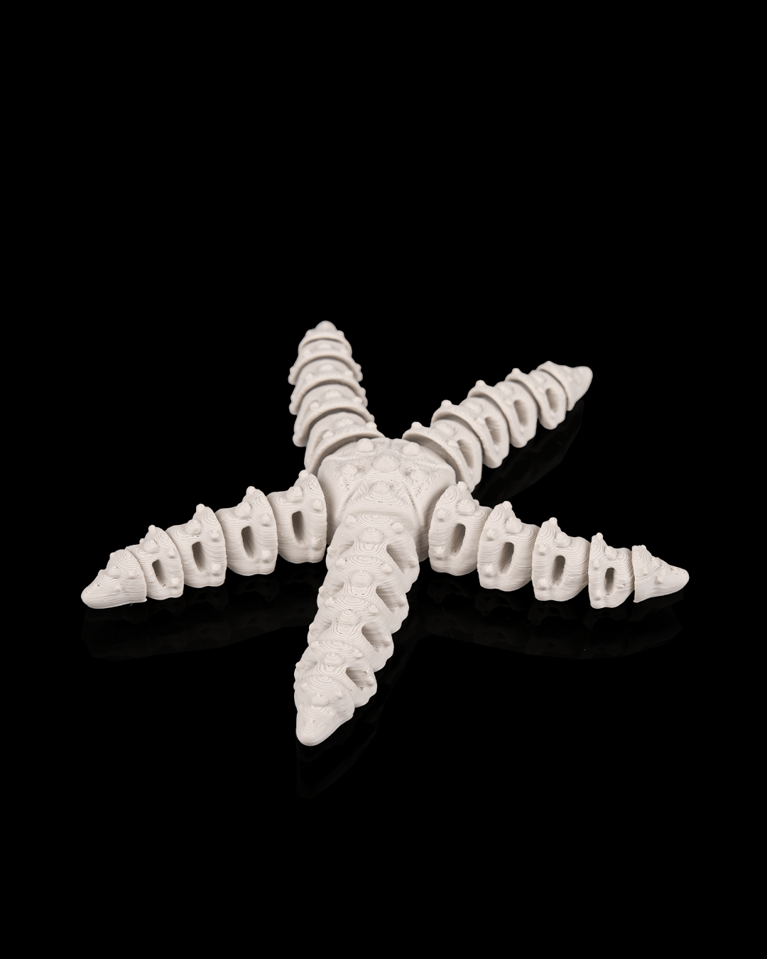 Stella Marina Scheletro Articolata – Decorazione Marina Stampata in 3D
