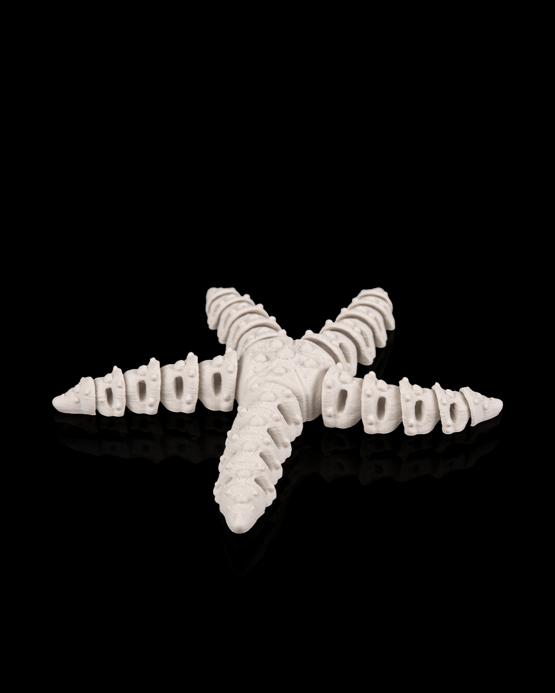 Stella Marina Scheletro Articolata – Decorazione Marina Stampata in 3D