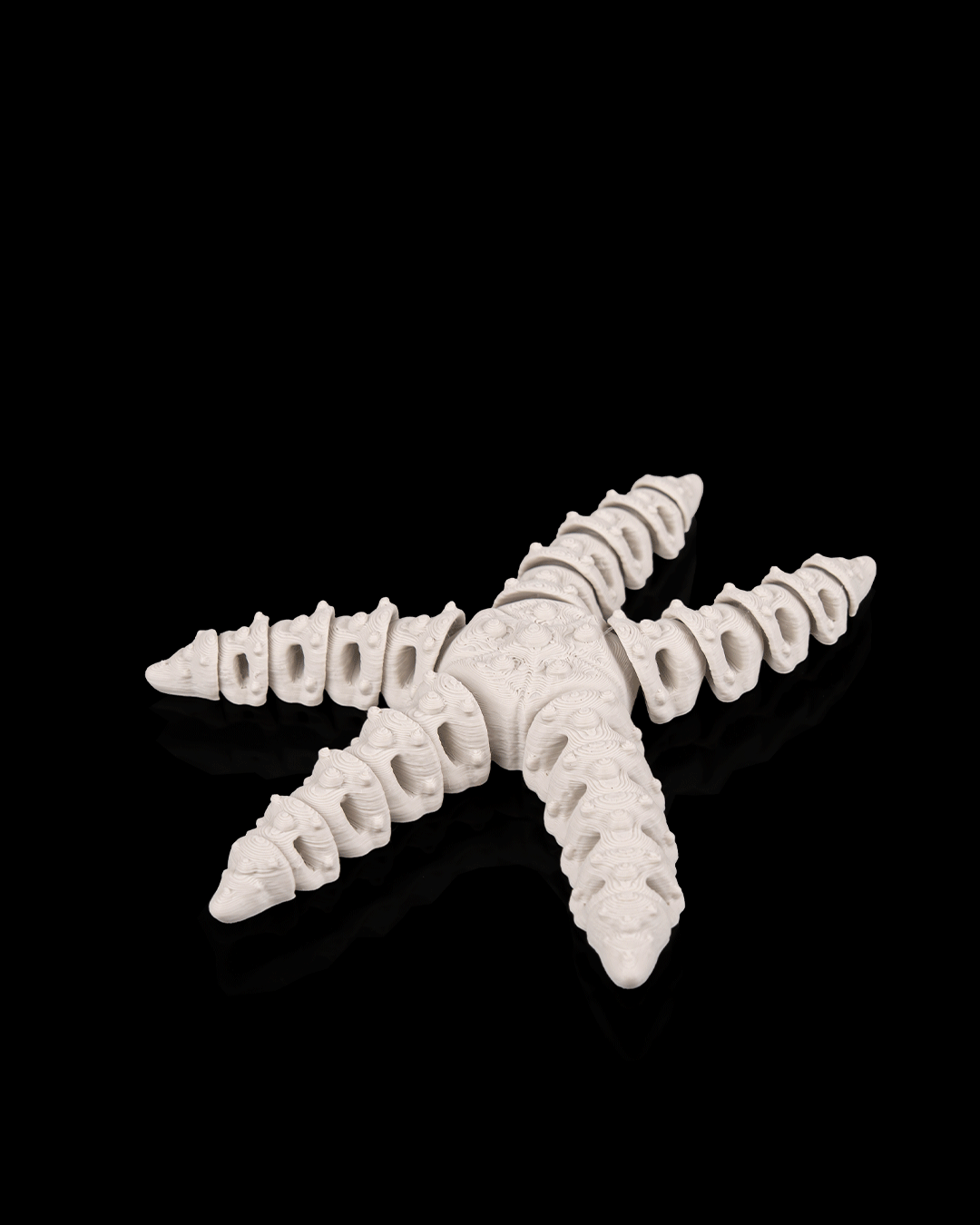 Stella Marina Scheletro Articolata – Decorazione Marina Stampata in 3D