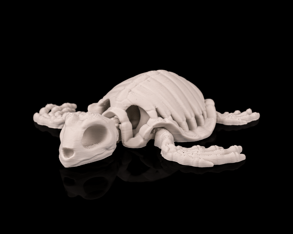 Tartaruga Scheletro Articolata – Modello Marino Flessibile Stampato in 3D