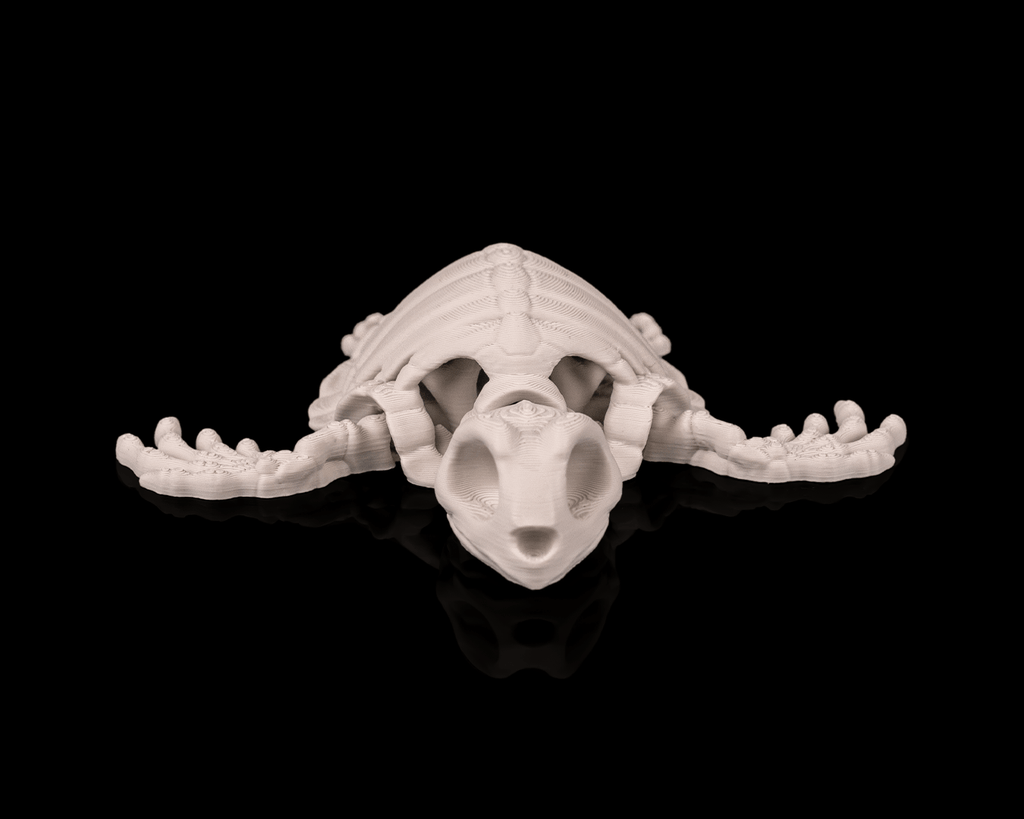Tartaruga Scheletro Articolata – Modello Marino Flessibile Stampato in 3D