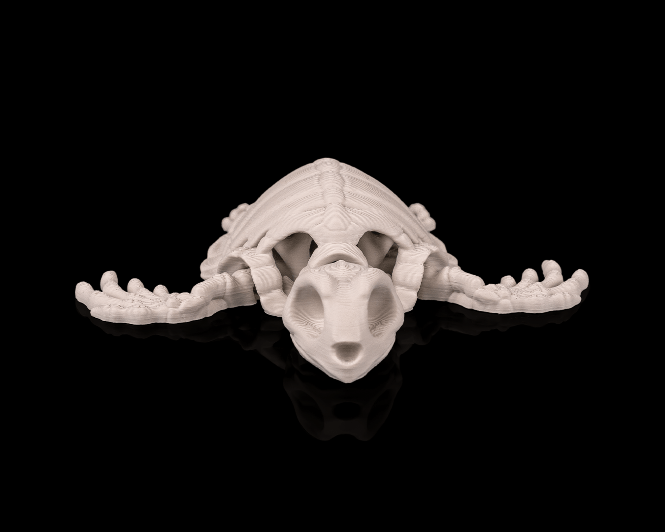 Tartaruga Scheletro Articolata – Modello Marino Flessibile Stampato in 3D