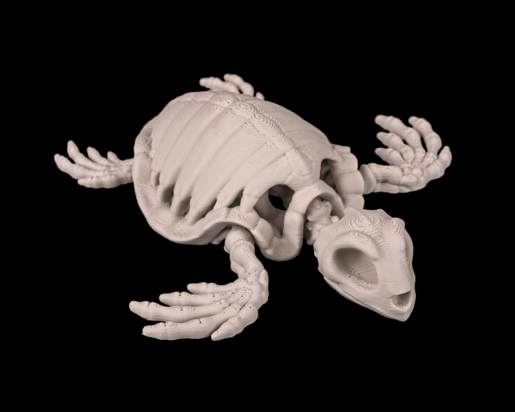Tartaruga Scheletro Articolata – Modello Marino Flessibile Stampato in 3D