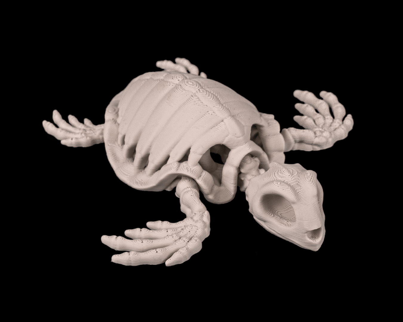 Tartaruga Scheletro Articolata – Modello Marino Flessibile Stampato in 3D