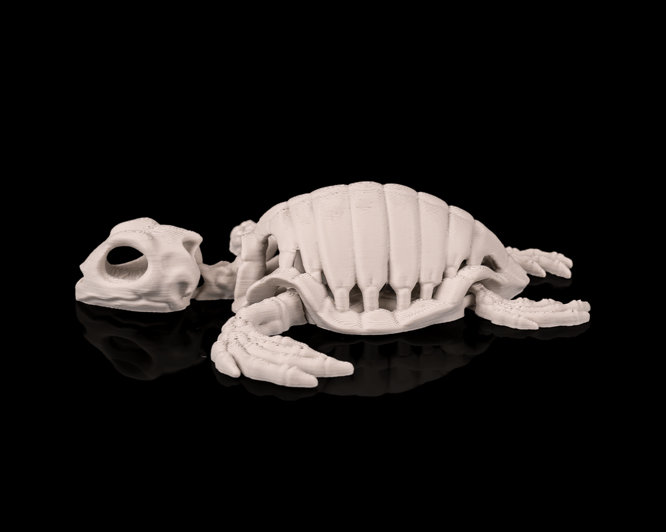 Tartaruga Scheletro Articolata – Modello Marino Flessibile Stampato in 3D