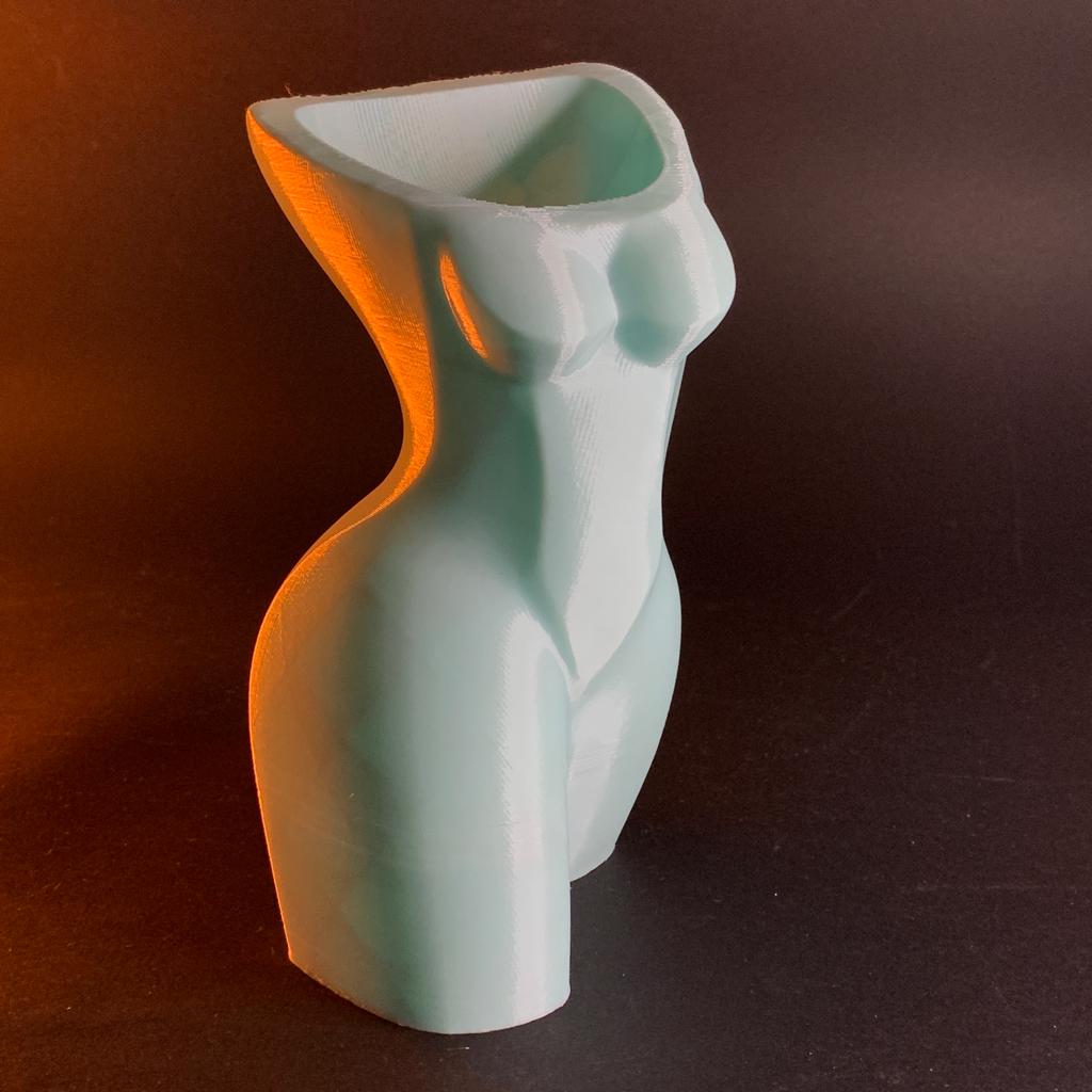 Vaso Artistico Venere  – Scultura Moderna in PLA Stampata in 3D
