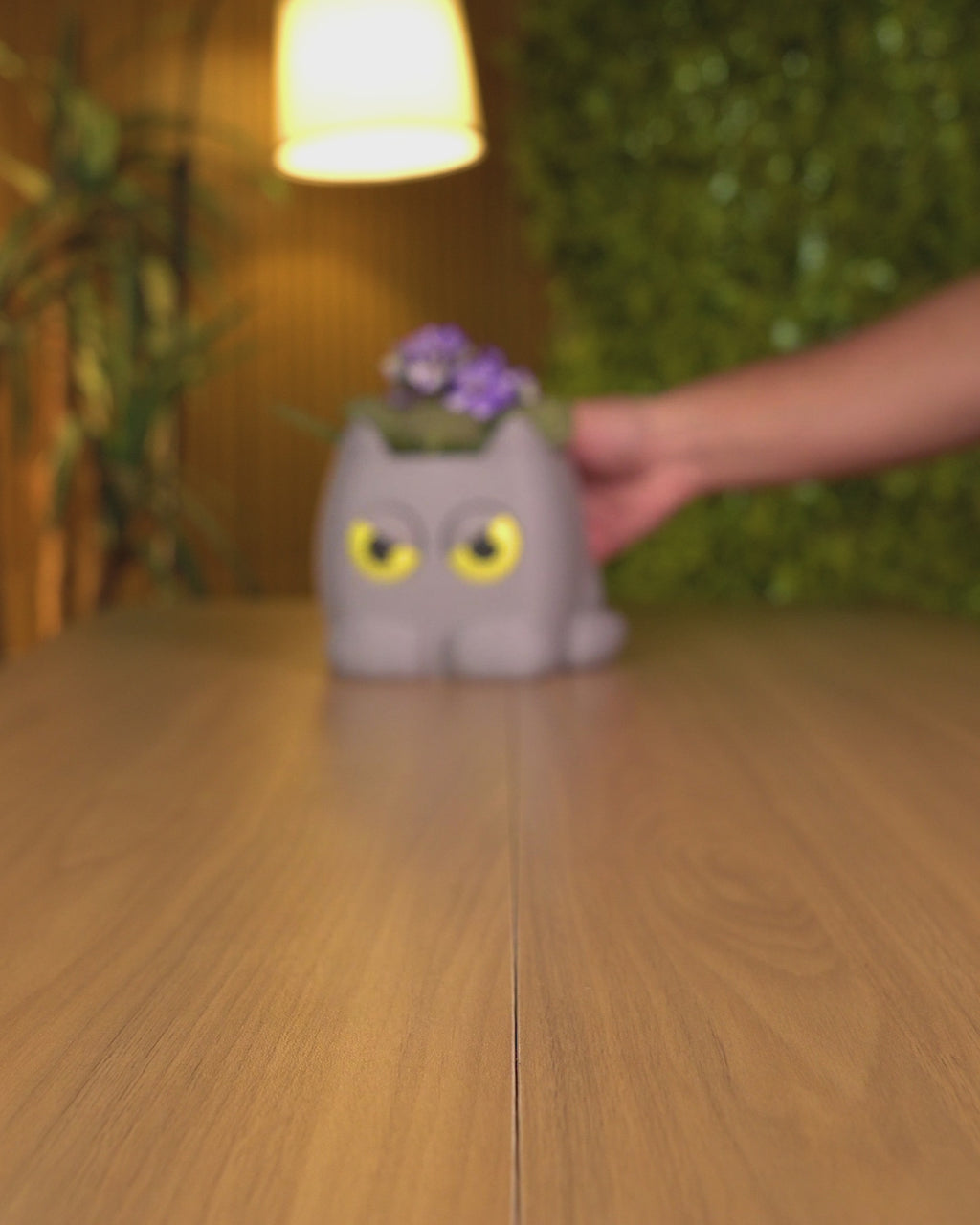 Vaso Gatto Brontolone Magico – Occhi Mobili che Cambiano con l'Acqua | Stampato in 3D