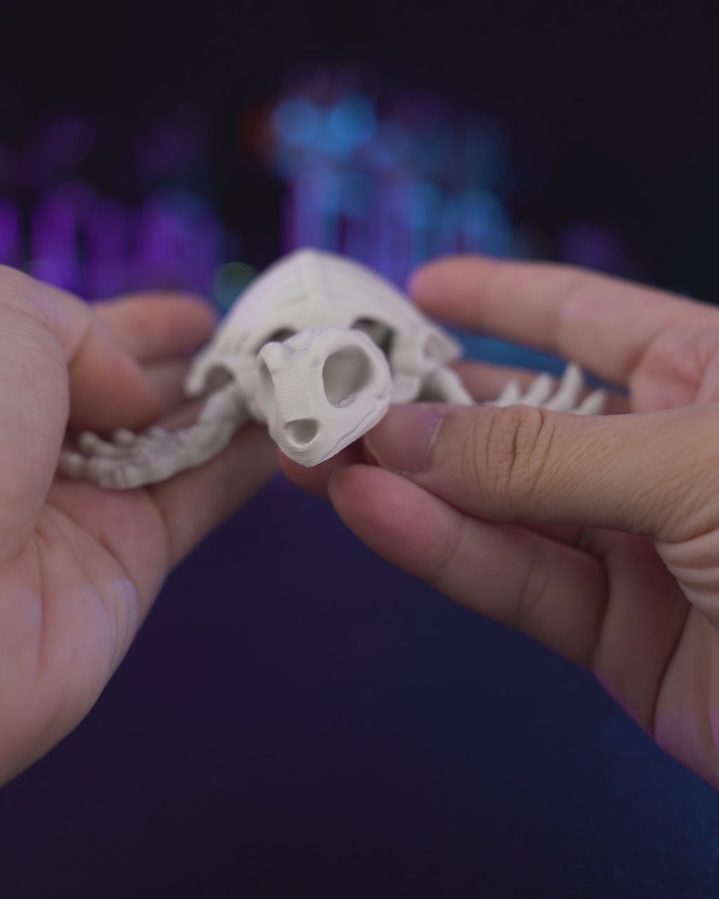 Tartaruga Scheletro Articolata – Modello Marino Flessibile Stampato in 3D