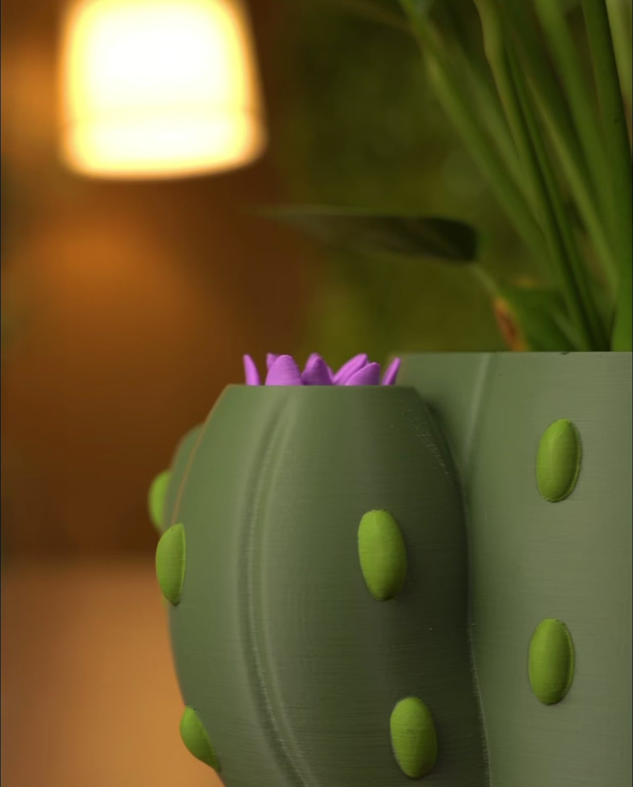 🌵 Vaso Cactus Autoirrigante con Fiore Magico – Il Fiore Sale Quando Aggiungi l’Acqua
