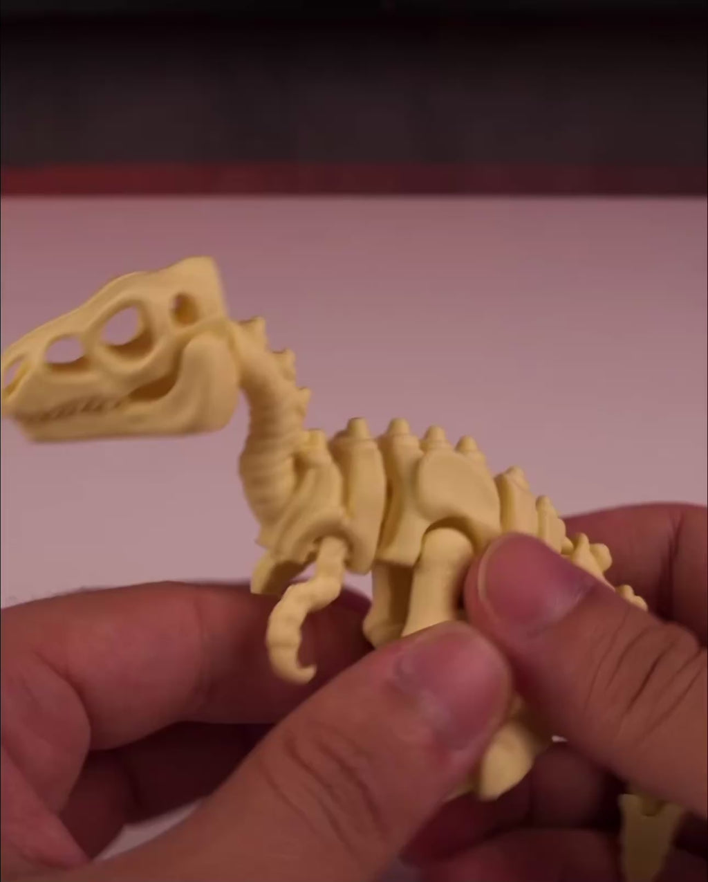 Skeleton Velociraptor Modellino Stampato in 3D (Articolato e da Collezione)