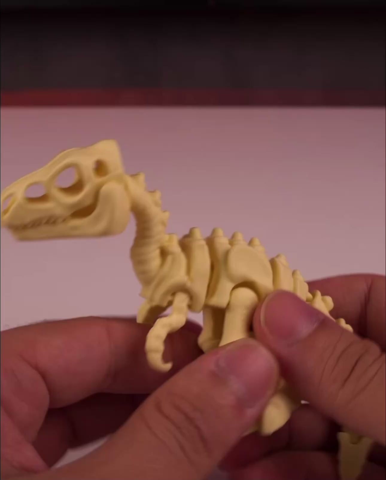 Skeleton Velociraptor Modellino Stampato in 3D (Articolato e da Collezione)